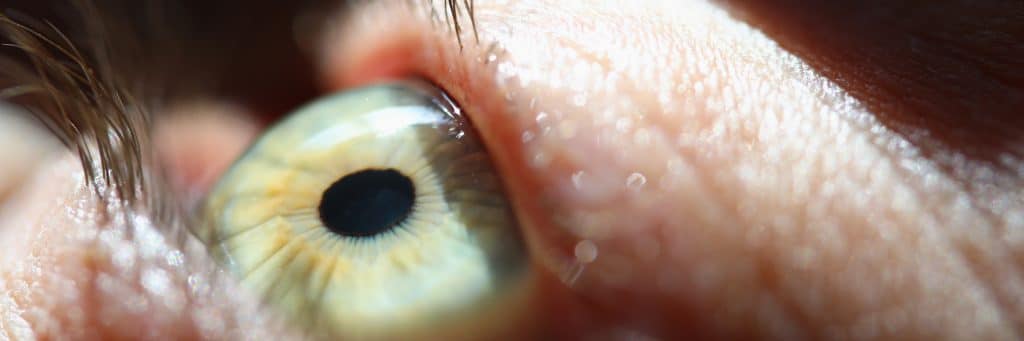 ray light falls human eye