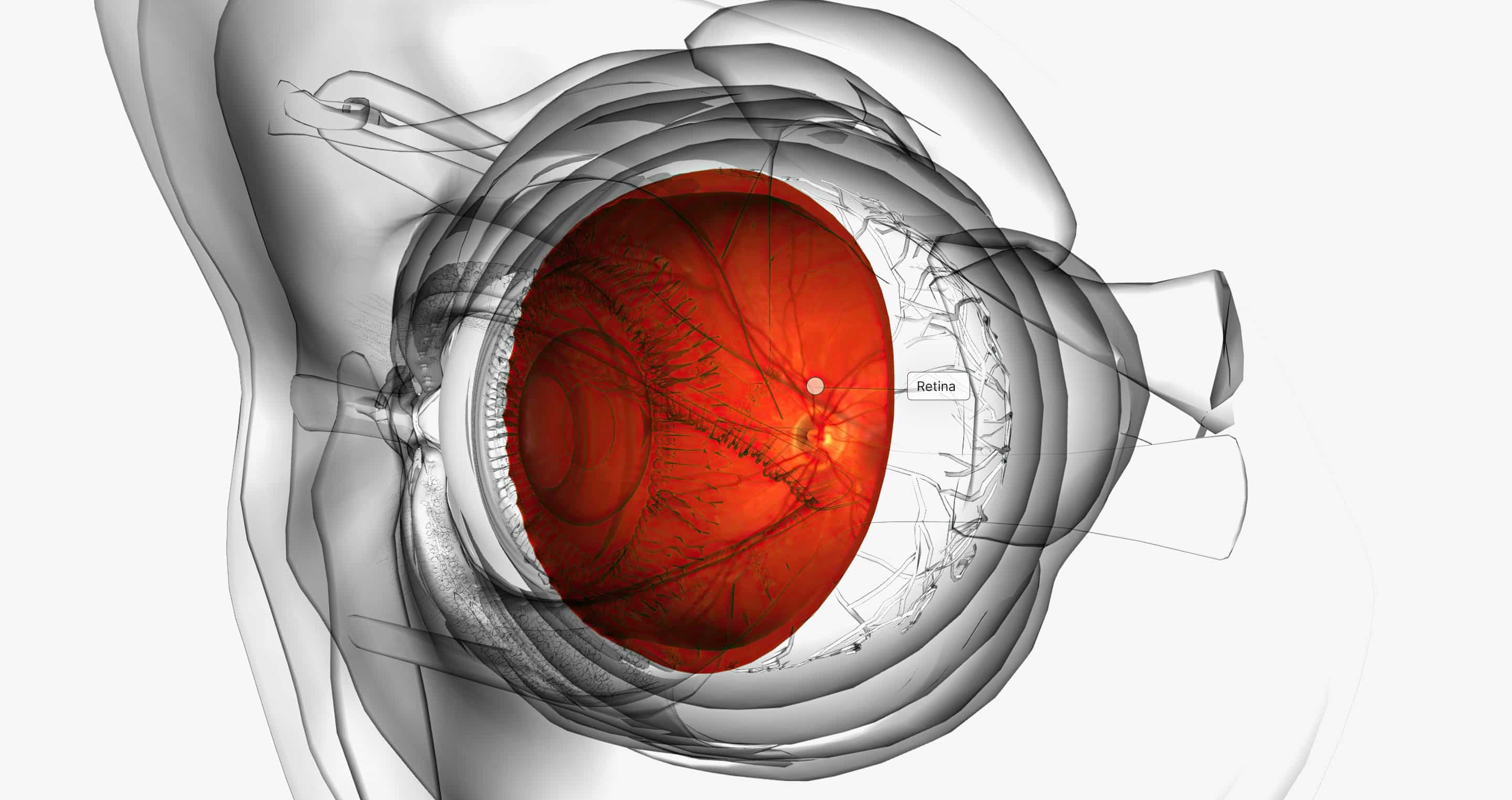 imagistica oculară