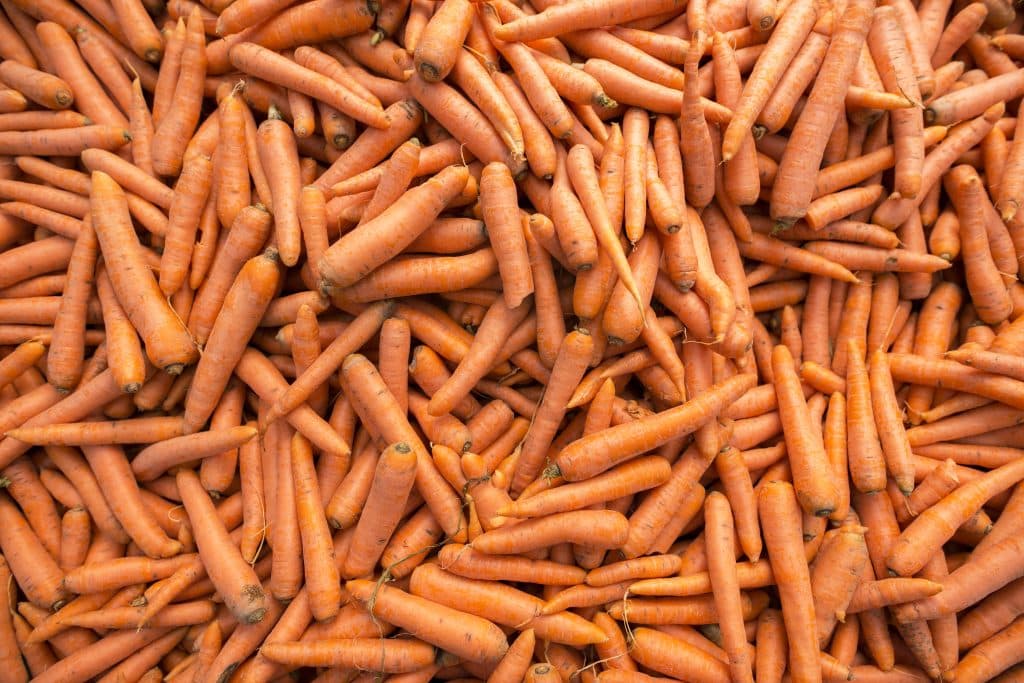 Top view of pile of carrots.